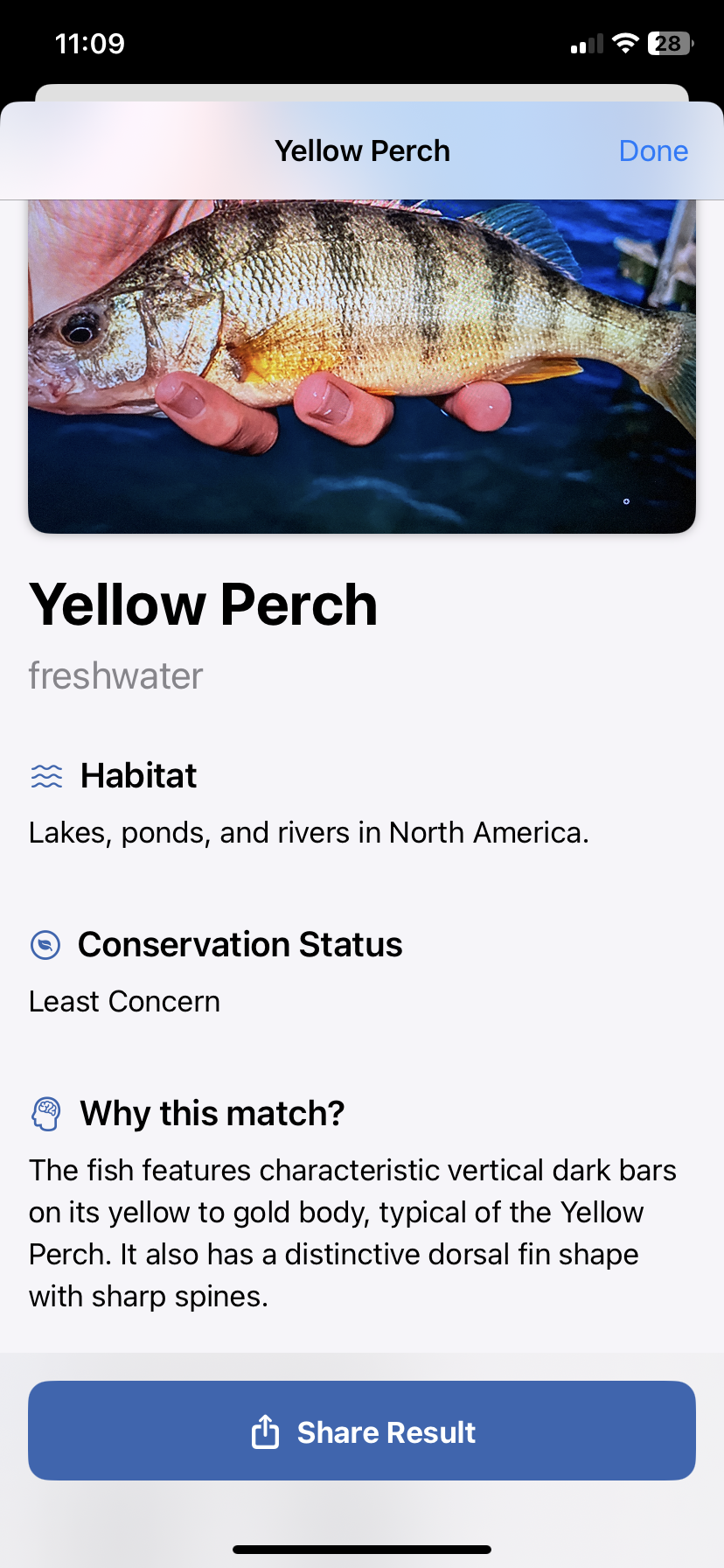 fish finder