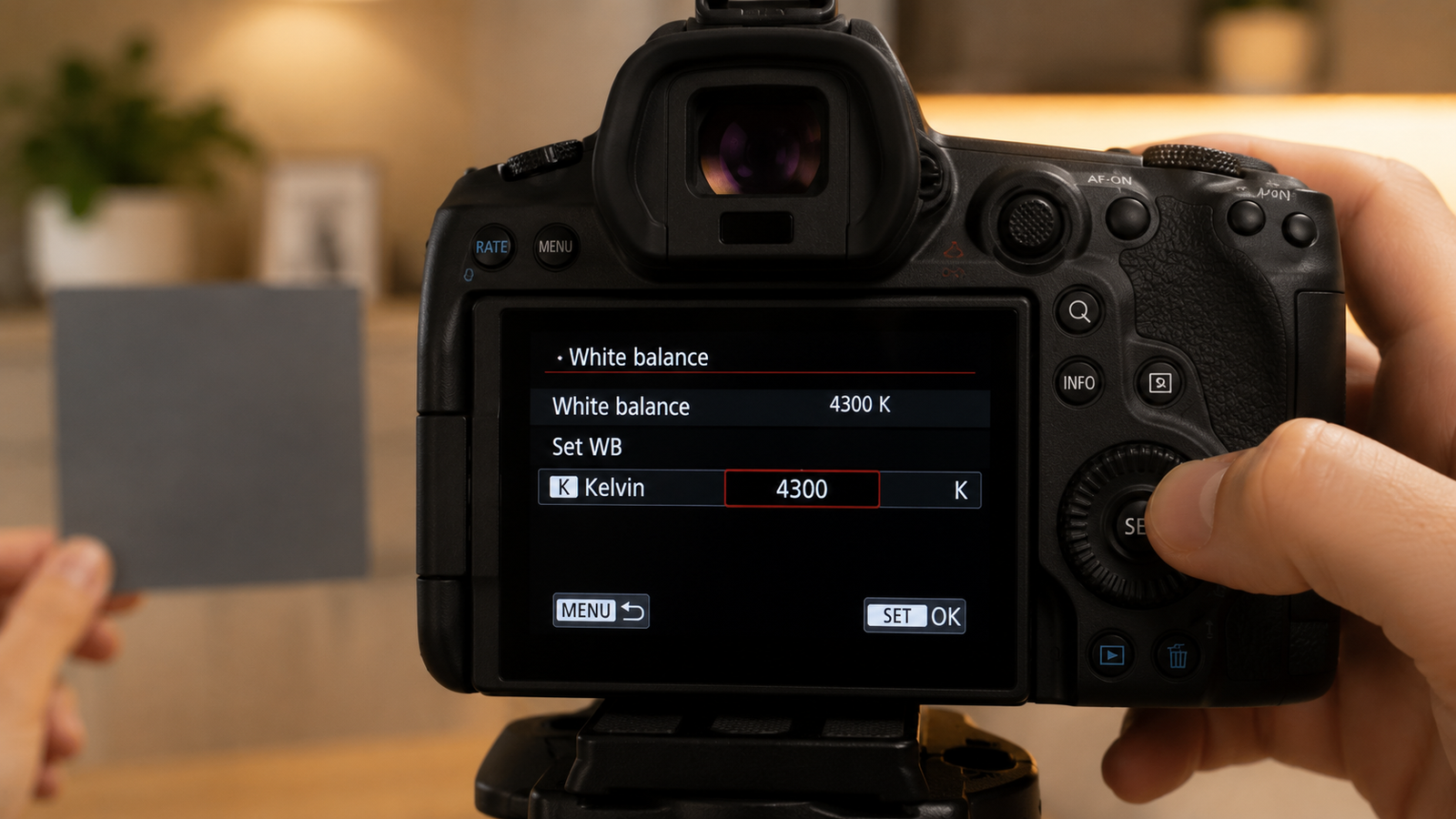 How to Set Custom White Balance From a Kelvin Reading